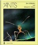 The Ants by Bert Hölldobler, Edward O. Wilson