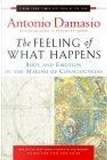 The Feeling of What Happens by Professor Antonio R Damasio