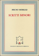 Scritti minori by Bruno Meriggi