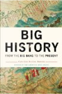 Big History by Cynthia Stokes Brown