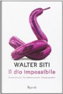 Il dio impossibile by Walter Siti