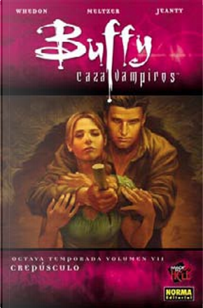 Buffy cazavampiros. Octava temporada, Vol.7 by Brad Meltzer, Joss Whedon