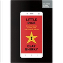 Little Rice by Clay Shirky