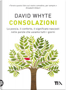 Consolazioni by David Whyte