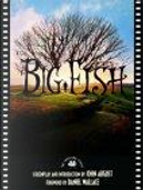 Big Fish by Daniel Wallace, John August