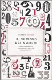 Il curioso dei numeri by Andrew Hodges