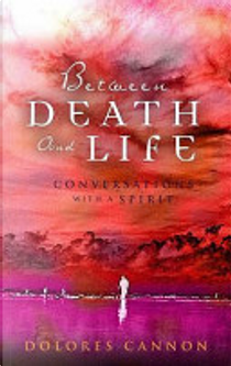 Between Death and Life by Dolores Cannon