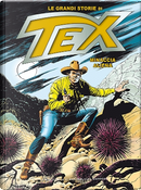 Le grandi storie di Tex n. 13 by Gianluigi Bonelli