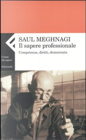 Il sapere professionale by Saul Meghnagi