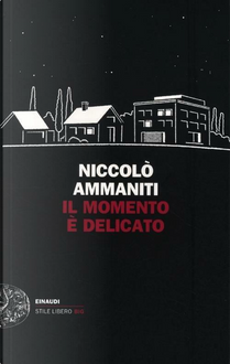 Il momento è delicato by Niccolò Ammaniti