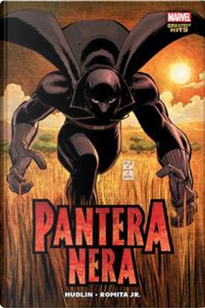 Chi è la Pantera Nera? by John Jr. Romita, Klaus Janson, Reginald Hudlin