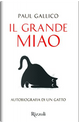 Il grande Miao by Paul Gallico