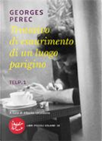 Tentativo di esaurimento di un luogo parigino by Georges Perec