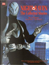 Night Raven by Steve Parkhouse