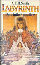 Labyrinth by A.C.H. Smith