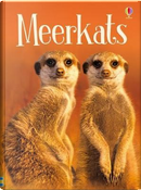 Meerkats (Beginners) by James Maclaine