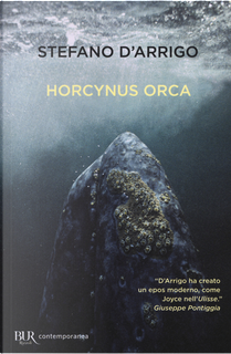 Horcynus Orca by Stefano D'Arrigo