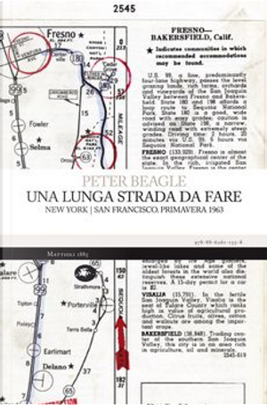 Una lunga strada da fare by Peter S. Beagle