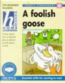 A Foolish Goose by Mary Kelly, Vanessa Morgan