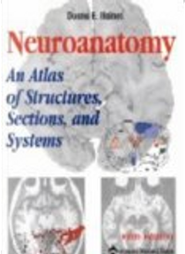Neuroanatomy by Duane E. Haines