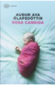 Rosa candida by Audur Ava Olafsdottir