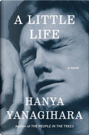 A Little Life by Hanya Yanagihara