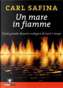 Un mare in fiamme. Il più grande disastro ecologico di tutti i tempi by Carl Safina