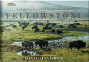Yellowstone by David Quammen