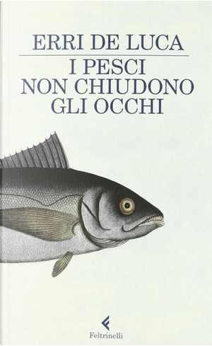 I pesci non chiudono gli occhi by Erri De Luca