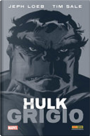 Hulk – Grigio by Jeph Loeb, Tim Sale