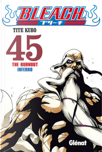 Bleach #45 by Tite Kubo