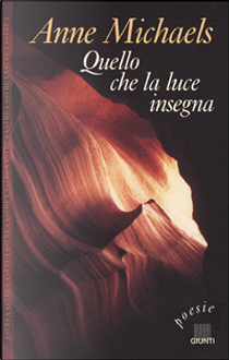Quello che la luce insegna by Anne Michaels