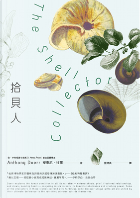 拾貝人 by Anthony Doerr 拾貝人 by Anthony Doerr