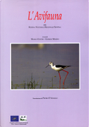 L'avifauna della Riserva naturale regionale della Sentina