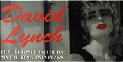 David Lynch by Daniela Catelli, Demetrio Salvi, Emanuela Imparato, Emanuela Martini, Fabrizio Liberti, Federico Chiacchiari, Francesco Bono, Giuseppe Gariazzo, Luigi Boscaino, Marco Martani