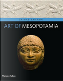 Art of Mesopotamia by Zainab Bahrani