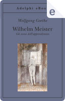 Wilhelm Meister by Johann Wolfgang Von Goethe