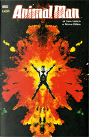 Animal Man di Tom Veitch vol. 3 by Steve Dillon, Tom Veitch