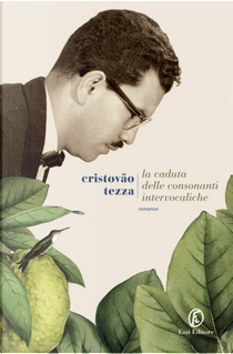 La caduta delle consonanti intervocaliche by Cristóvão Tezza