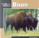 Bison by Cherie Winner