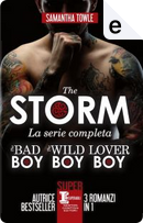 The Storm by Samantha Towle