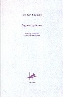 AGUAS GRISES by Joris-Karl Huysmans