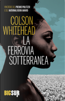 La ferrovia sotterranea by Colson Whitehead