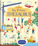 Big Picture Thesaurus by Rosie Hore