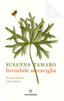 Invisibile meraviglia by Susanna Tamaro