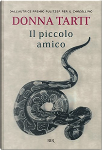Il piccolo amico by Donna Tartt
