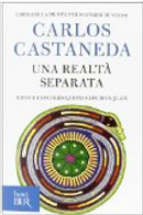 Una realtà separata by Carlos Castaneda