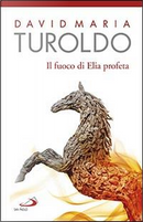 Il Fuoco di Elia profeta. Omelie 1989-1990. Testamento spirituale by David Maria Turoldo