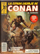 Super Conan #8 by Alfredo Alcalá, Danny Bulanadi, Ernie Chan, Ernie Colon, John Buscema, Luke MacDonnell, Michael Fleisher, Néstor Redondo, Roy Thomas, Zoran Vanjaka