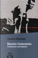 Manliio Gelsomini by Valerio Piccioni
